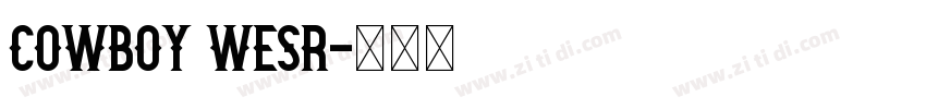 cowboy wesr字体转换